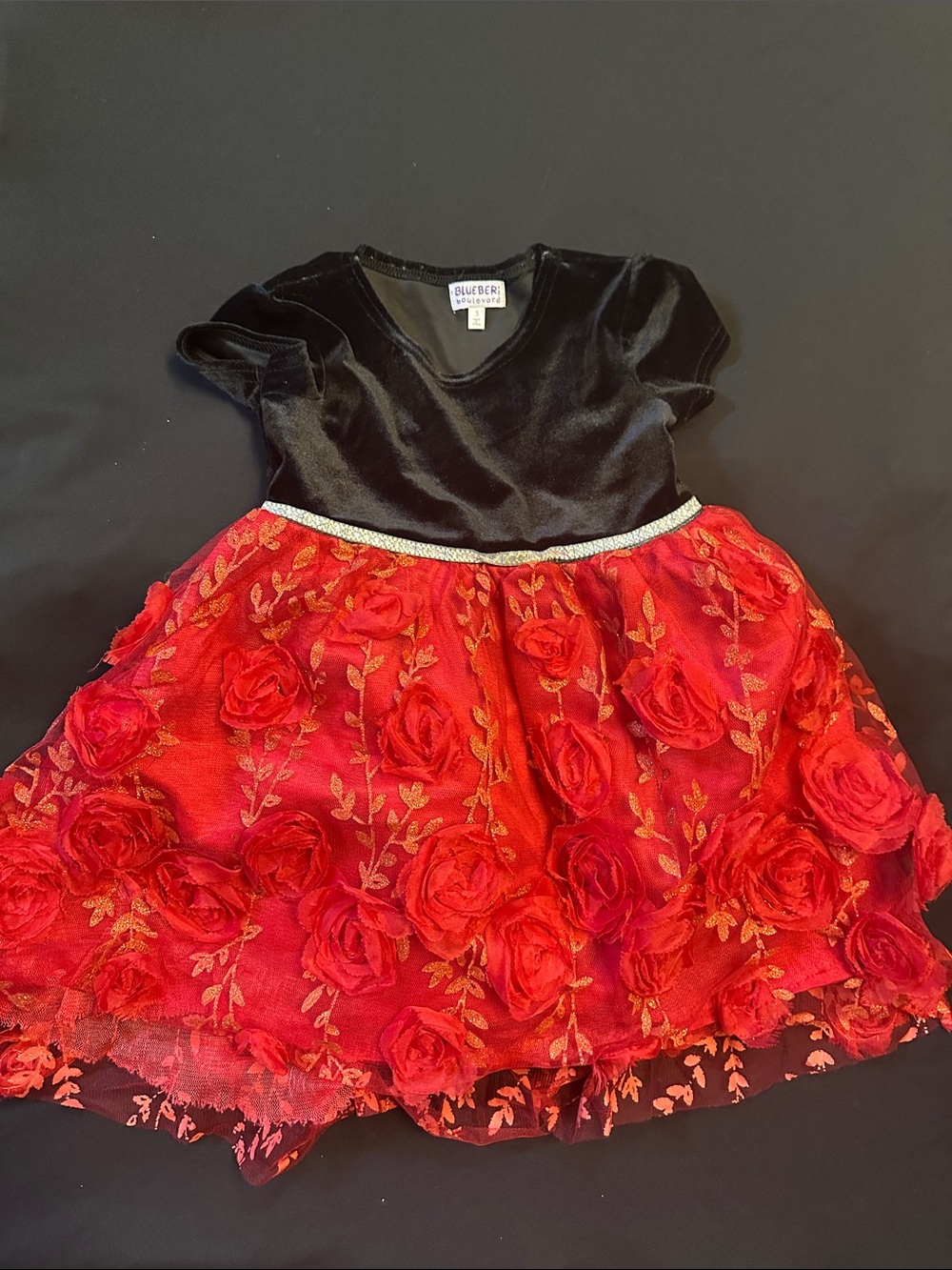 Girls Black & Red Rose Applique Party Dress Blue Beri Boulevard -no purse